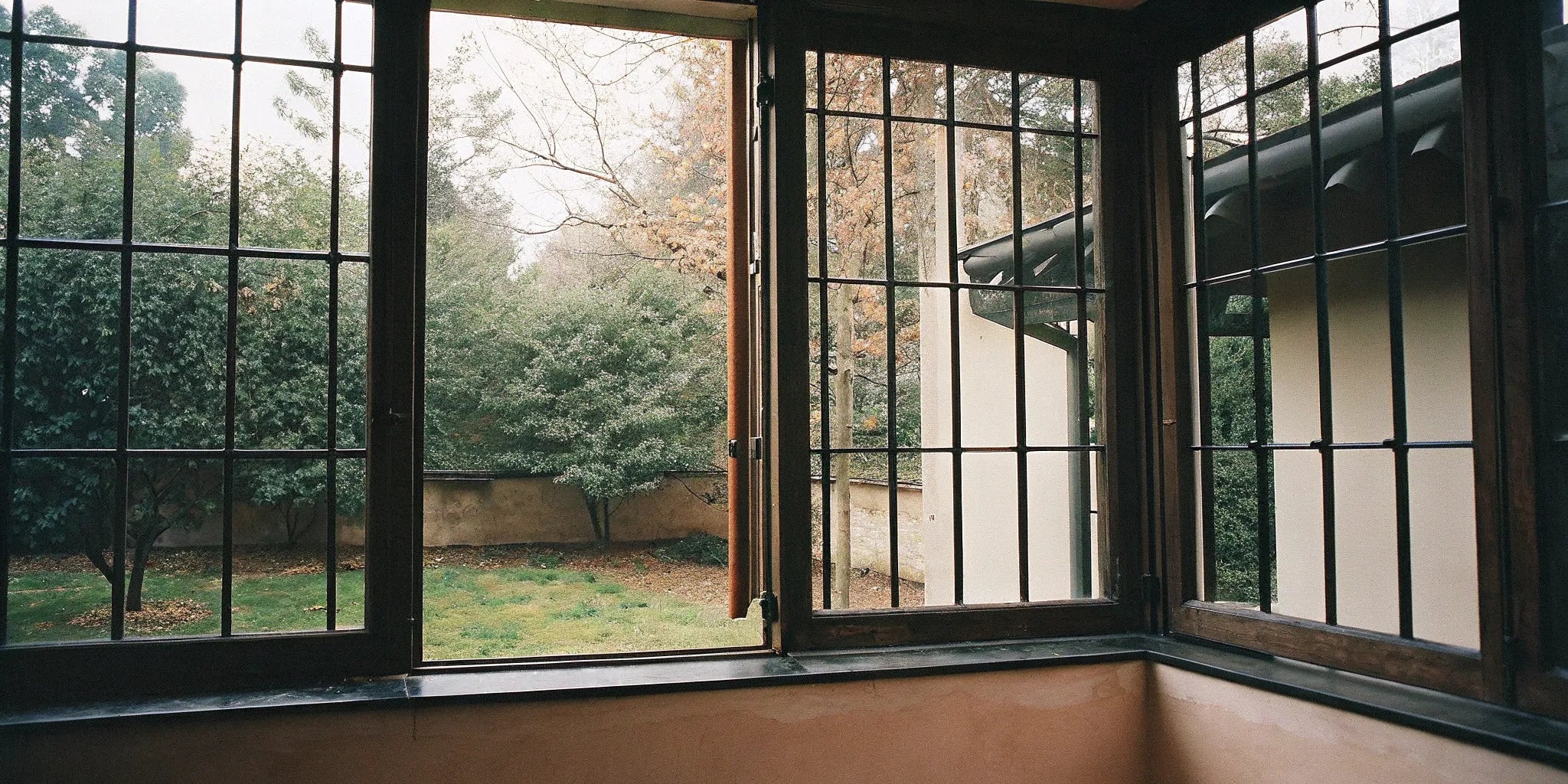 Modern black steel casement windows with slim frames open to a green backyard.