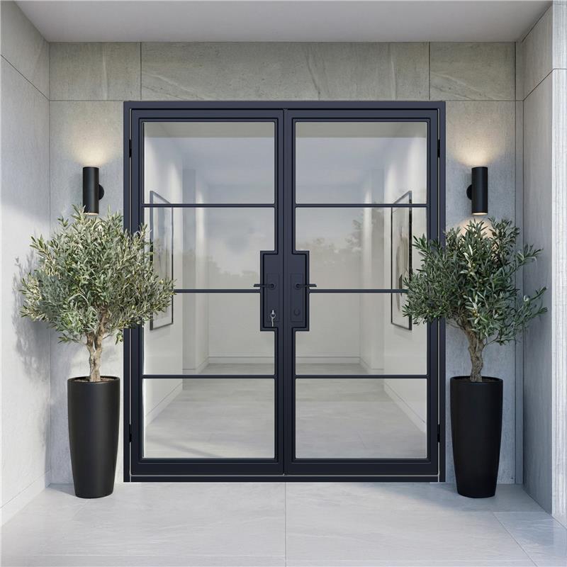 image of 4 Lite Double Steel Door (New Design)