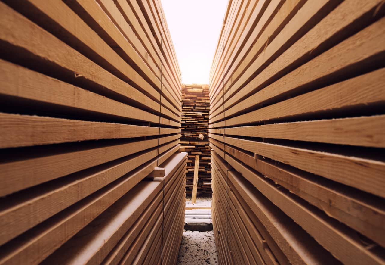 The Rise of Burbank Oak in Contemporary Architecture