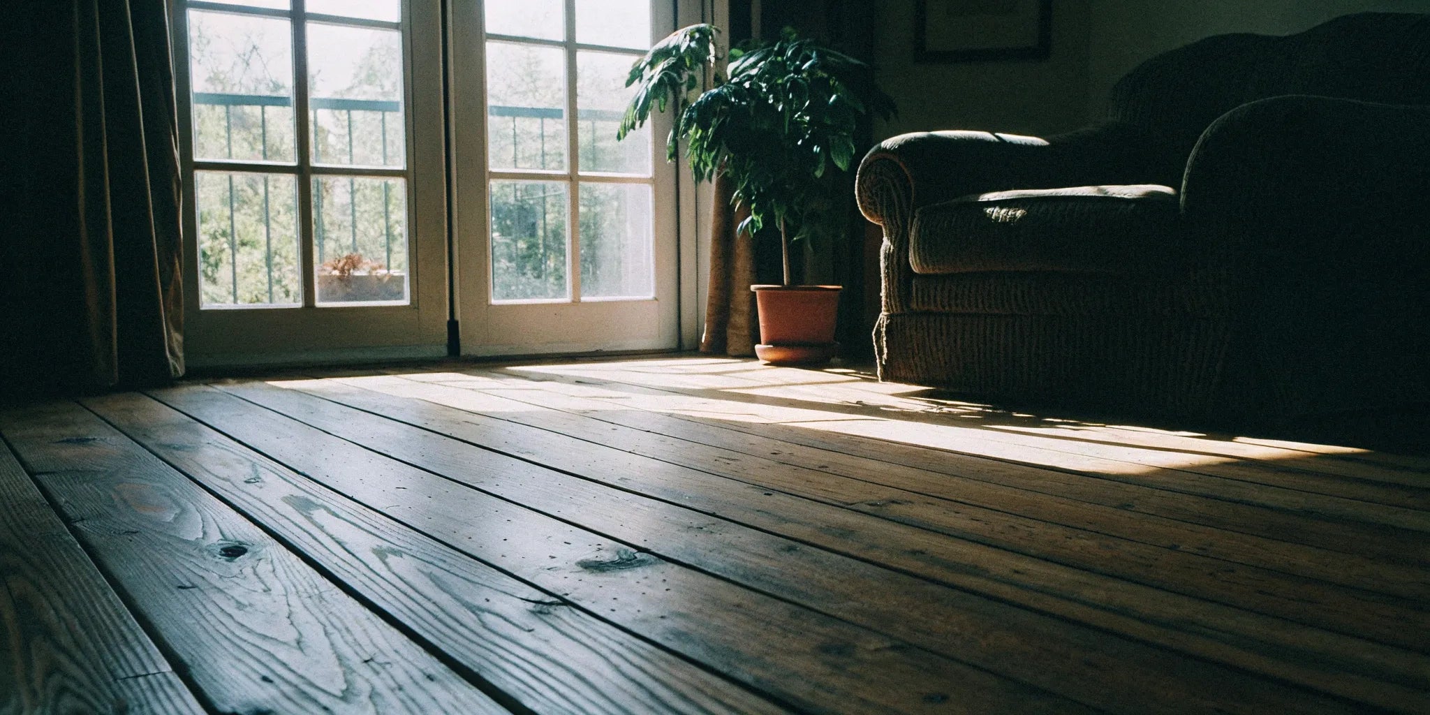 Extra wide plank flooring in a sunlit living room with natural wood grain and minimal seams.