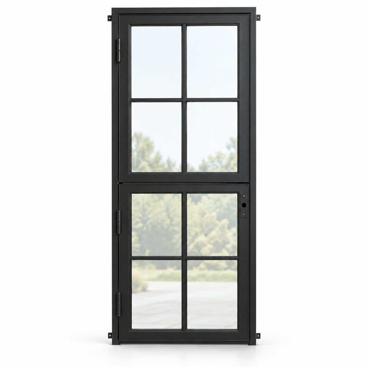 8 Lite Single Dutch Steel Door — studio AI-generated design visualization