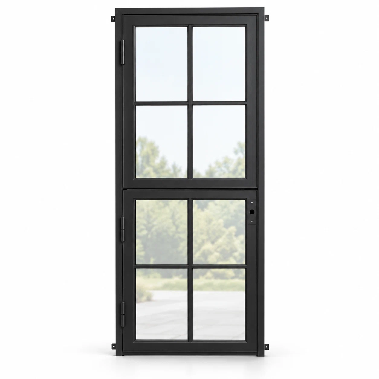 8 Lite Single Dutch Steel Door — studio AI-generated design visualization
