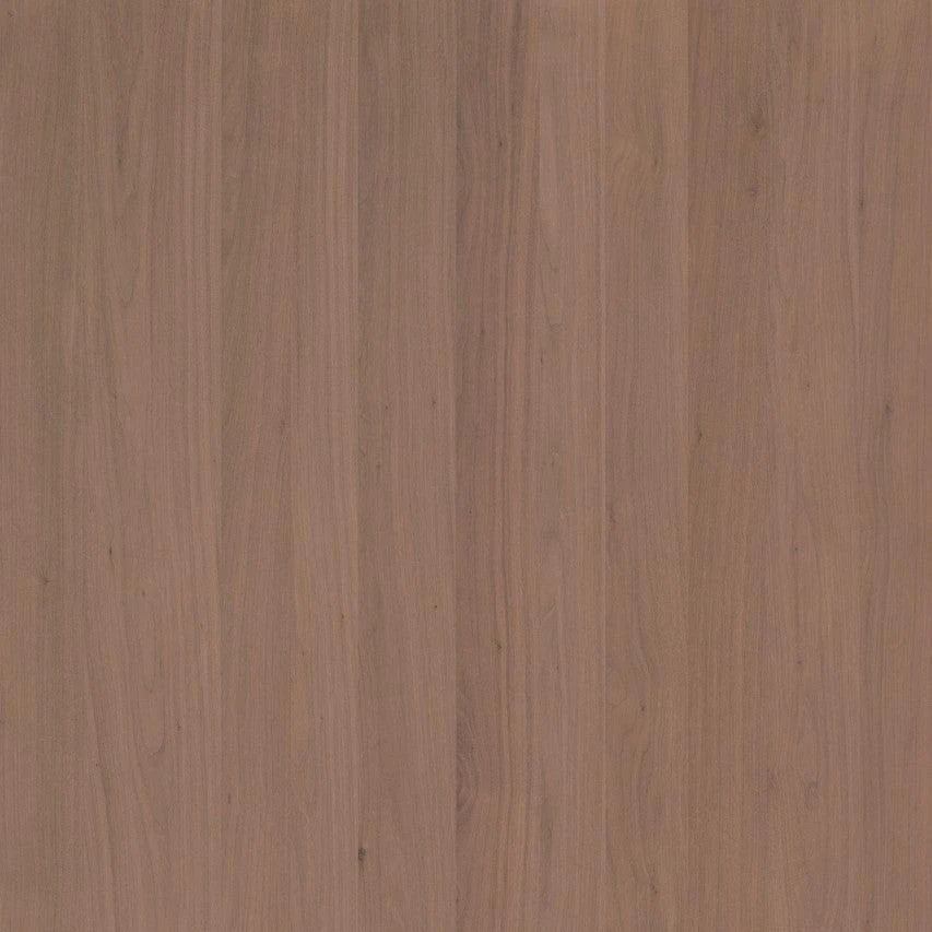 Natural Veneered Wall Panel Black Walnut with Brown Cathedral Grain